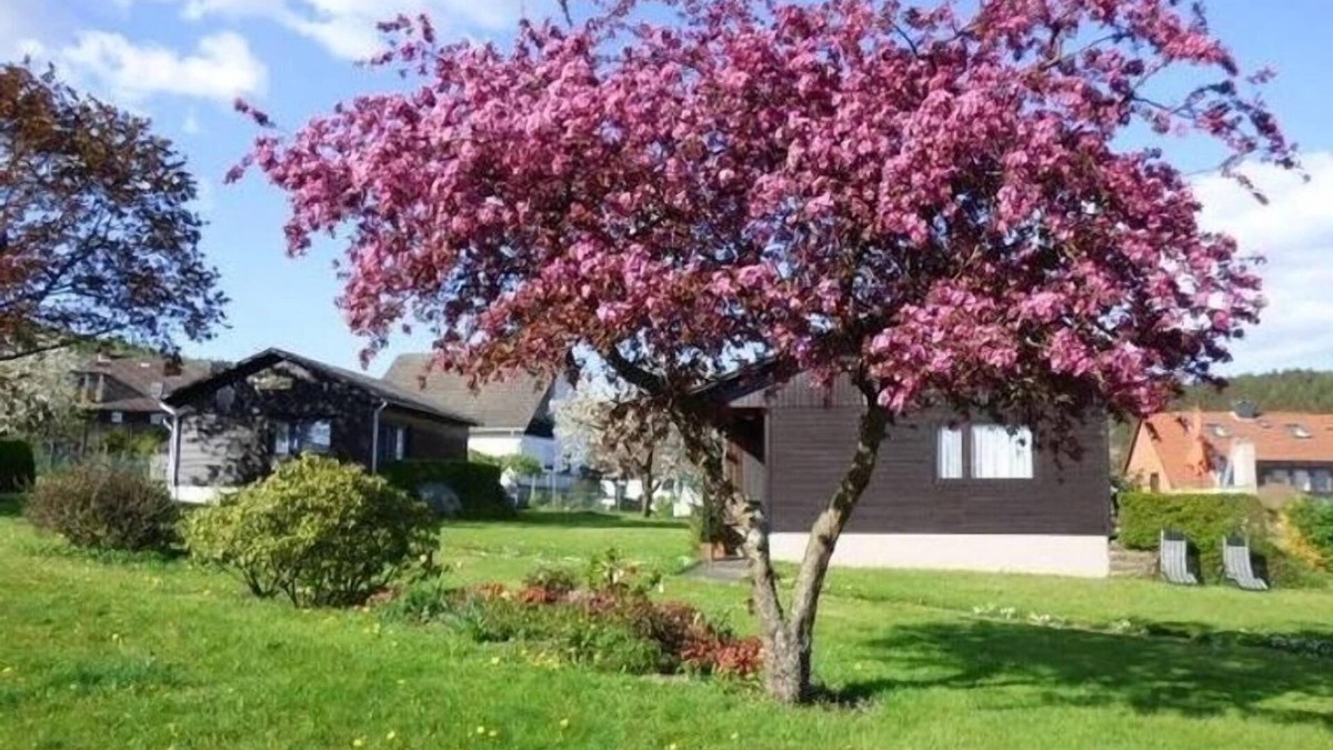 Holenberg House | Vacation home for 4 guests with 60m² in Holenberg (272335)