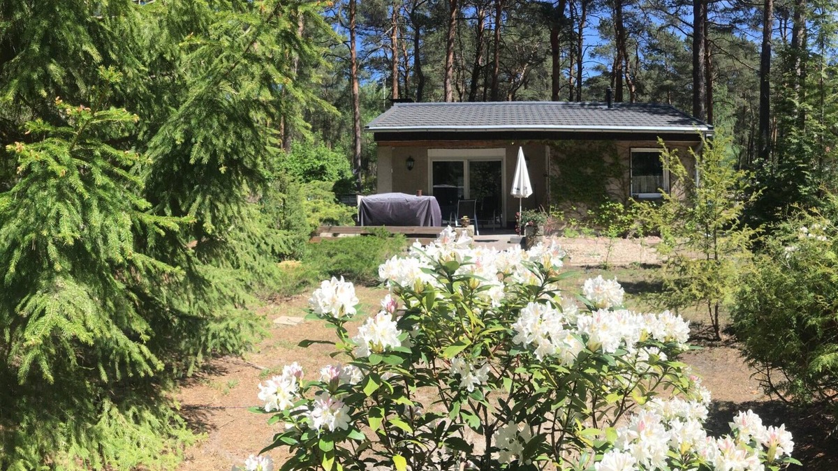 Gross Koeris House | Vacation home forest and lake idyll near bathing lakes, Spreewald and Berlin