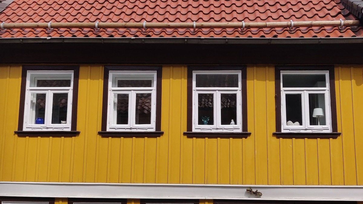 Wildemann House | Vacation home Salamander incl. sauna - Holiday home Salamander