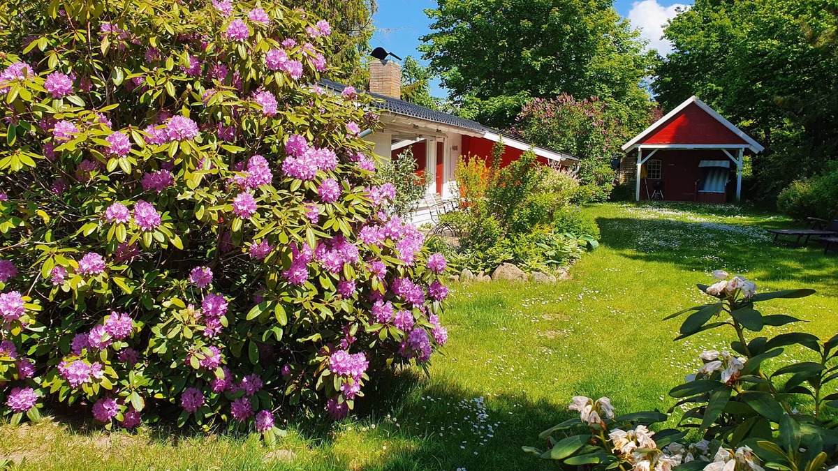 Brodersby House | Vacation home "Strand-Haus" in Brodersby-Burg.