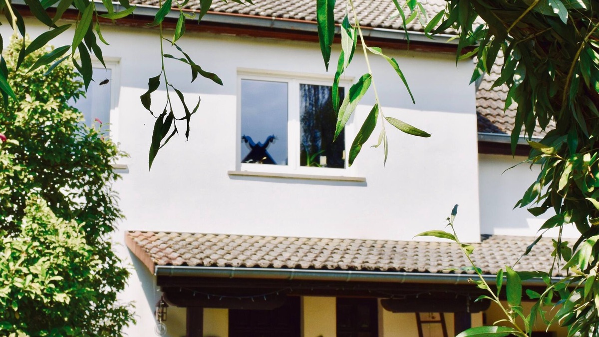 Burg House | Vacation in the Spreewald in the big house