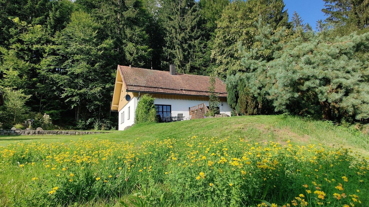 Bodenmais House | Vacation in the forest - experience nature