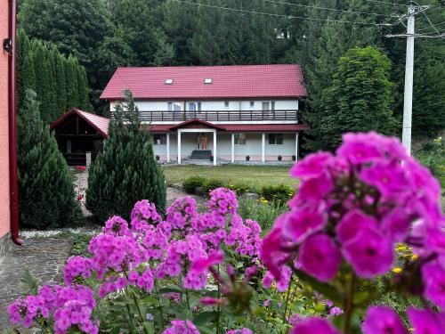 Sucevita Hotel | Vacation villa Sucevița