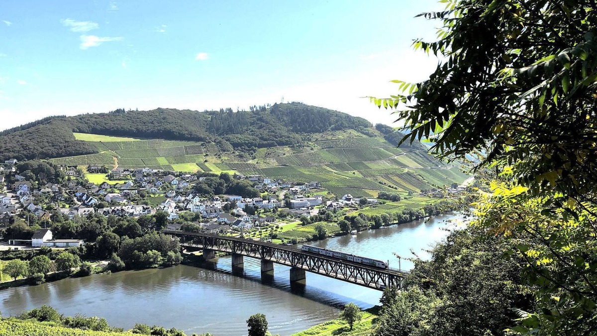 Briedel House | Vaction on the Moselle