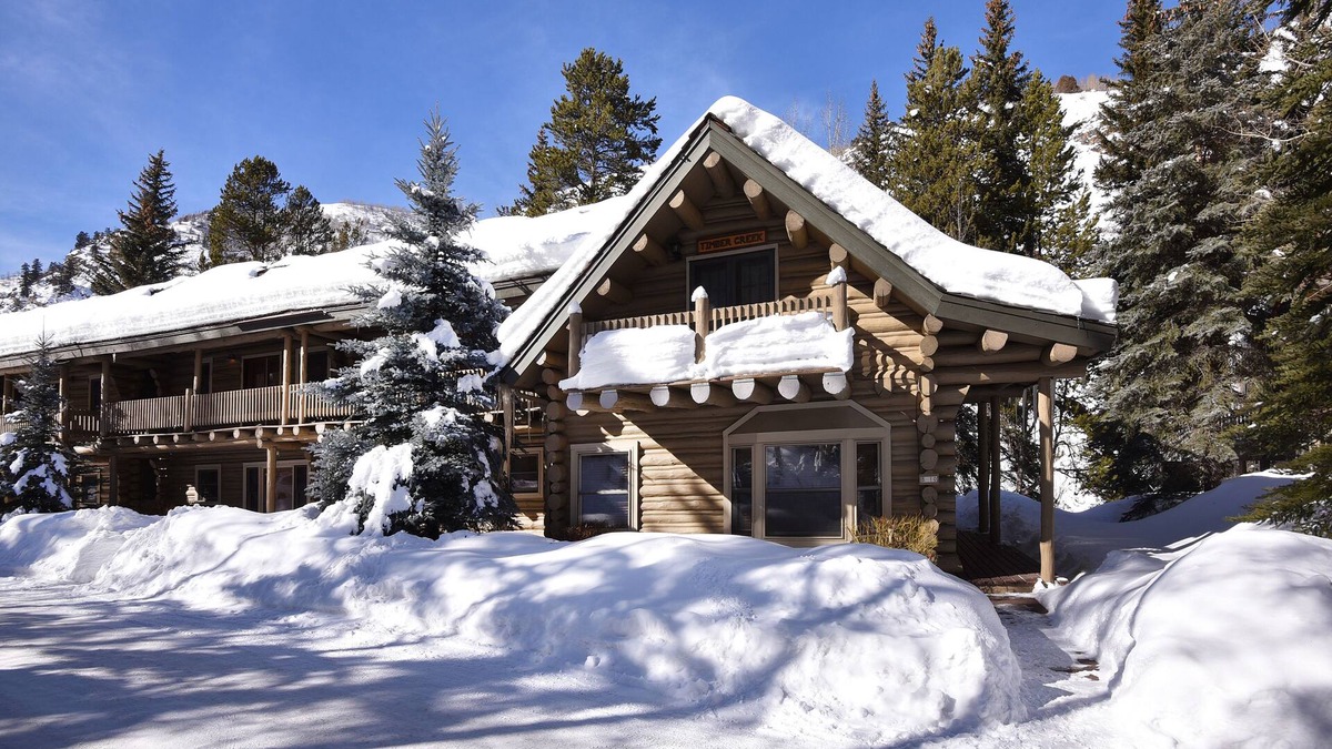 Innsbruck Meadows House | Vail Log Cabin w/Beautiful Creek Views, Free Town Shuttle and Slope Access