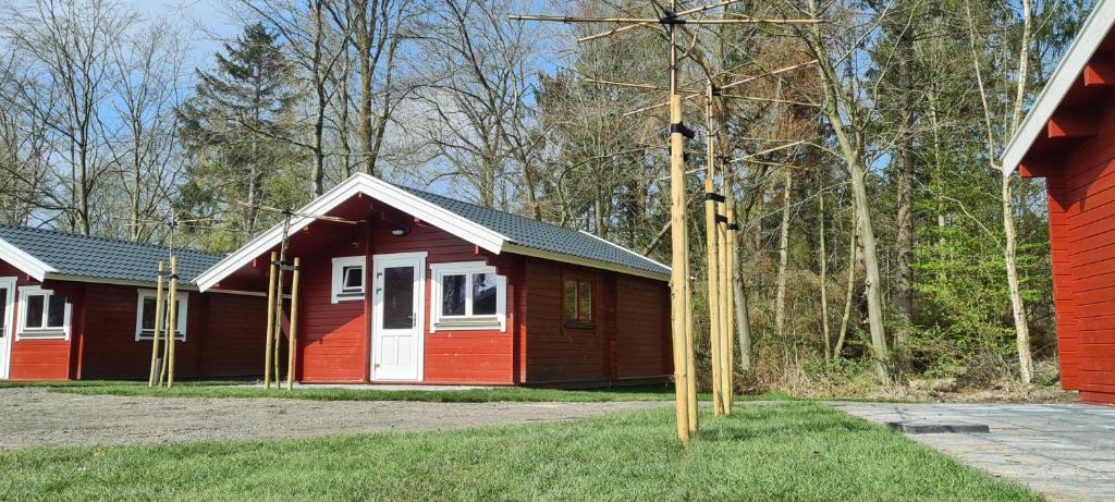 Urk Other | Vakantiepark 't Urkerbos - 4 persoons Brabantse blokhut