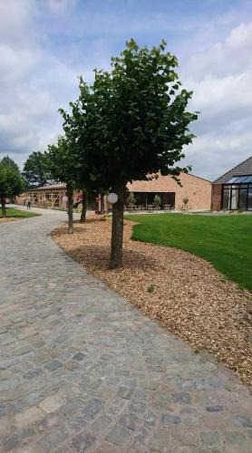 Geel House | Vakantiewoning de Worfthoeve