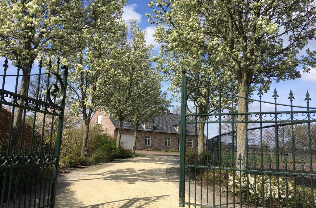 Grote Heide Villa | Vakantiewoning Pelterheggen