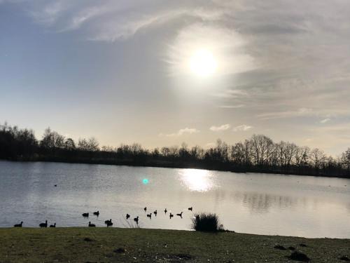 Zonhoven House | Vakantiewoning ‘t Reigersnest