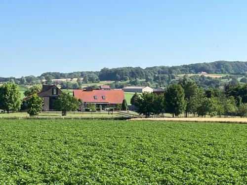 Dranouter Villa | Vakantiewoning - Ter Douve