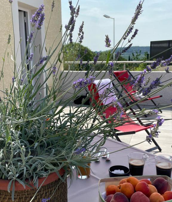 Neffies House | Val des Bruyères - gîte 15mn Pézenas avec terrasse et cour close - Parking privatif securisé - wifi FTTH gratuit