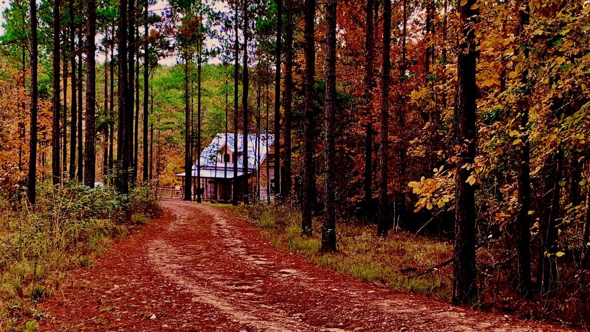 Mentone Cabin | VALKYRIE Secluded Romantic River Cabin River and Mountain Views Log/Stone Cabin