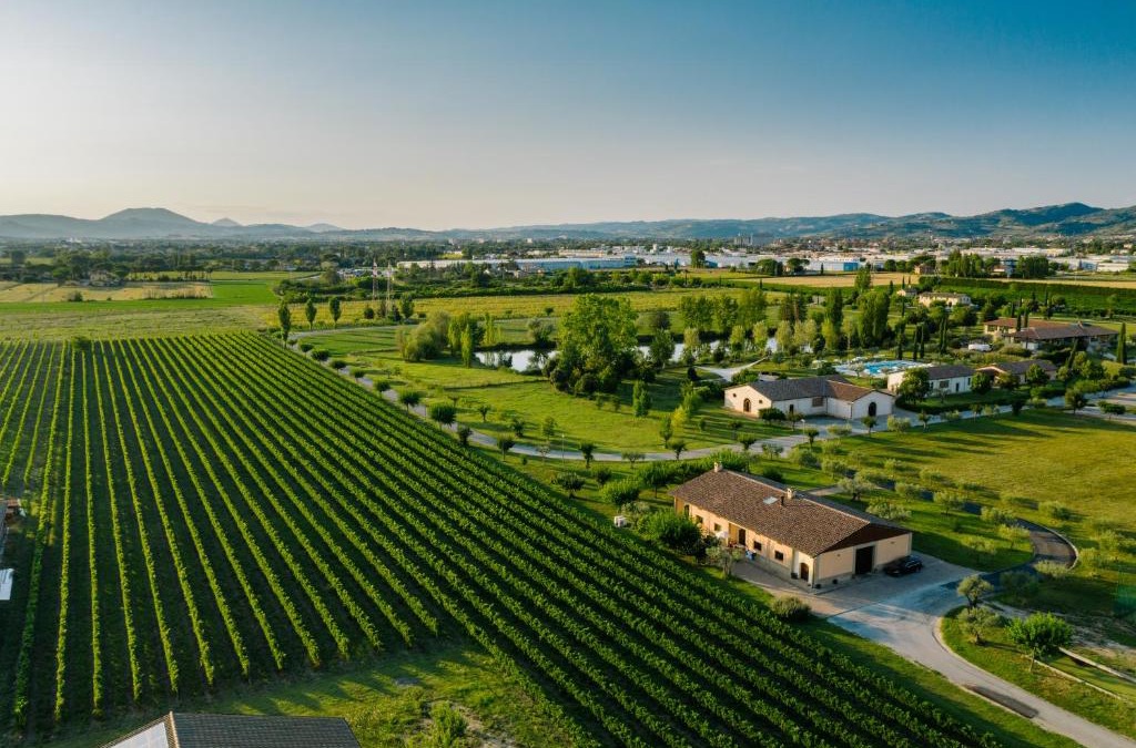 Santa Maria degli Angeli Apartment | Valle di Assisi Country Apartments
