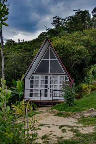 Cuispes Other | Valle Yumbilla Yacu