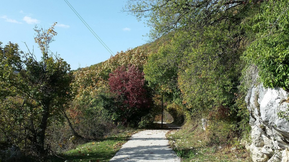 Scandriglia Apartment | Vallebona House: fragrance-free, Wi-Fi free house for MCS and EHS
