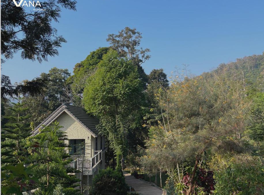 Pong Yaeng House | VANA Homestay