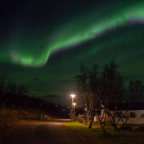 Vestre Jakobselv Apartment | Varangertunet arctic resort