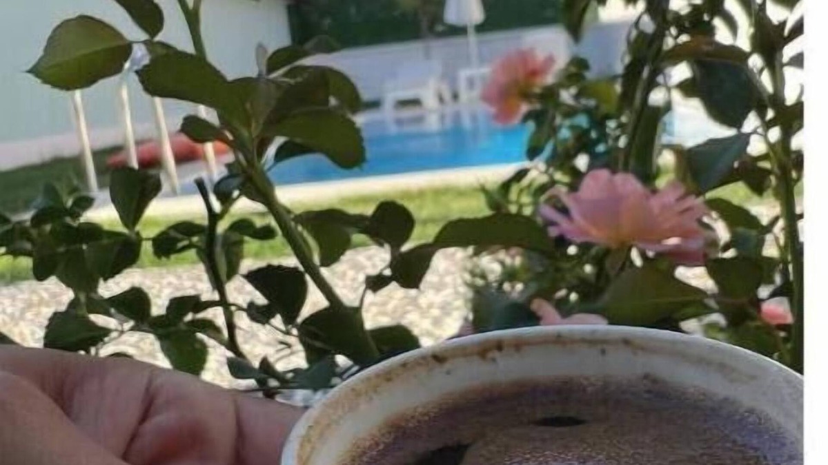 Yaniklar Villa | Vega Villas with Private Garden and Poo