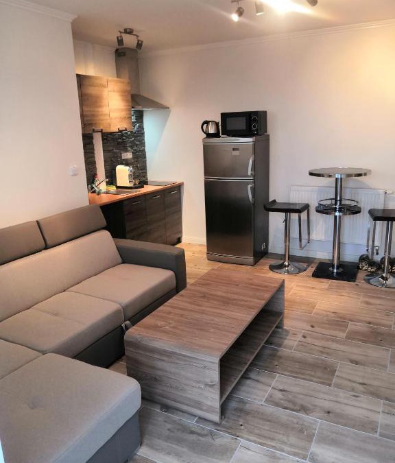 Melnik Apartment | Vehlovice Apartments