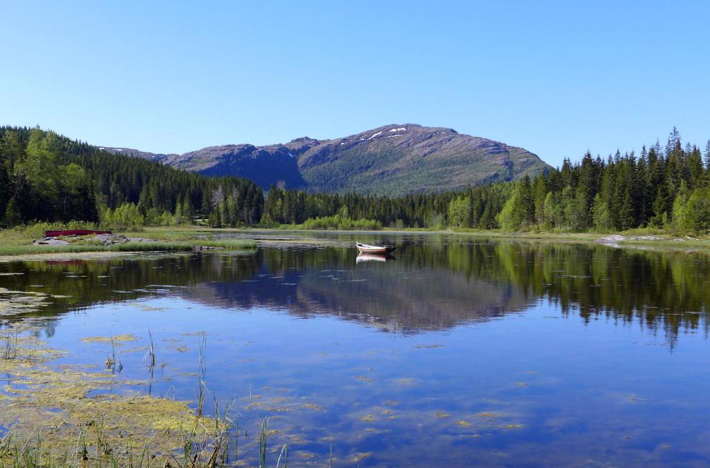 Brønnøy House | Velfjord Camping & Hytter