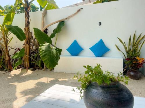 Thoddoo House | Veli garden thoddoo