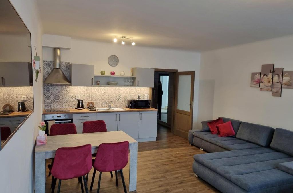 Hradec Kralove Apartment | Velké studio na Velkém náměstí s vybavenou kuchyní