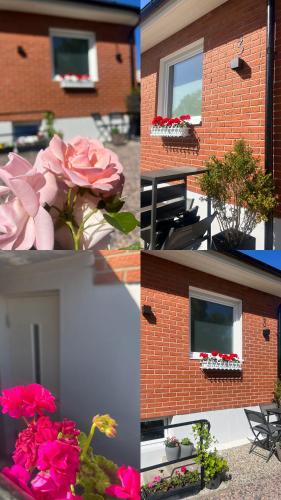 Vellinge Apartment | Vellinge Nest