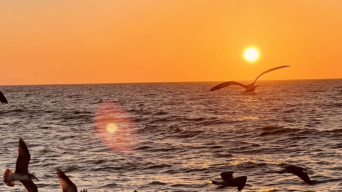Golden Beach Condo | Venice Island condo with private beach access!