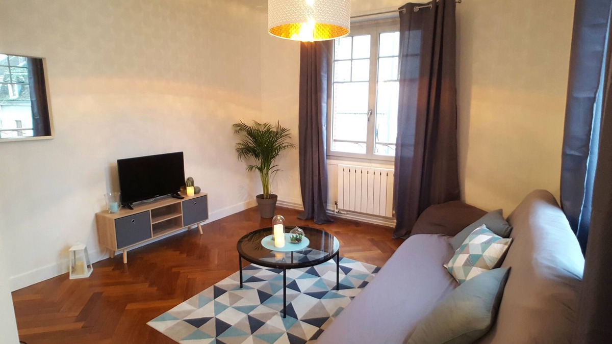 Joigny Apartment | Very bright apartment in the historic center of joigny