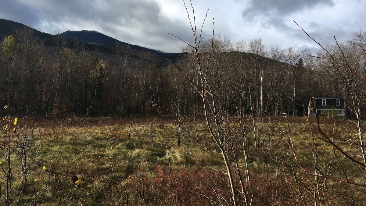 Randolph Cabin | VERY close to hiking, biking trails
