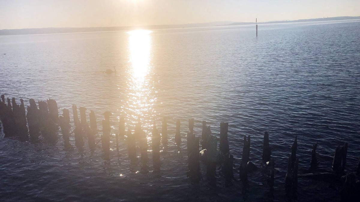 Immenstaad am Bodensee Condo | Very nice, comfortable, quiet apartment on Lake Constance 2-4 persons incl. WLAN + parking