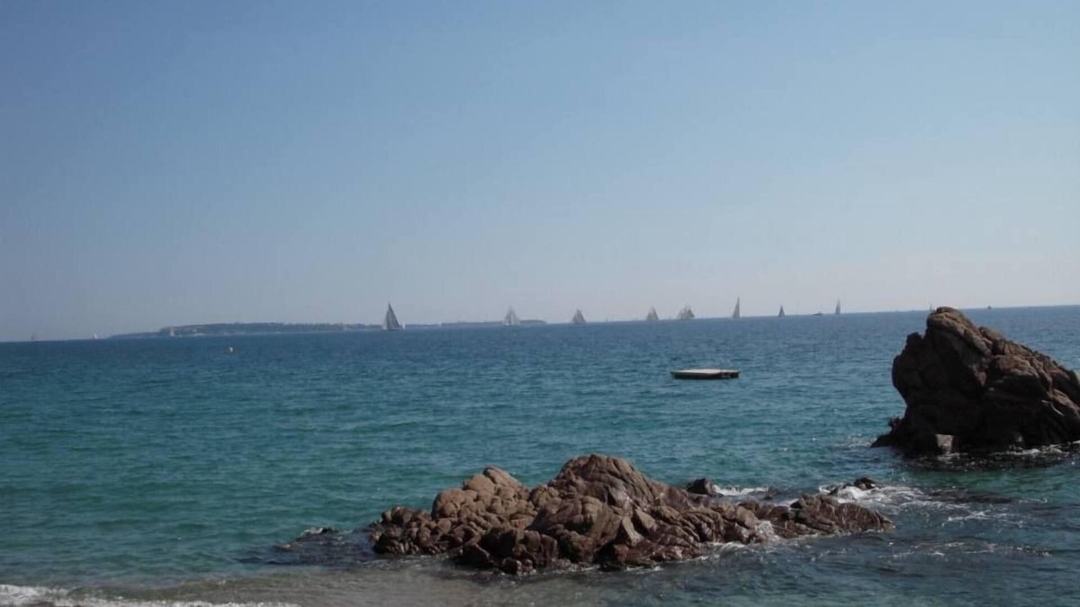 Cannes La Bocca Apartment | Very nice 100 m. Carrré, near the beach