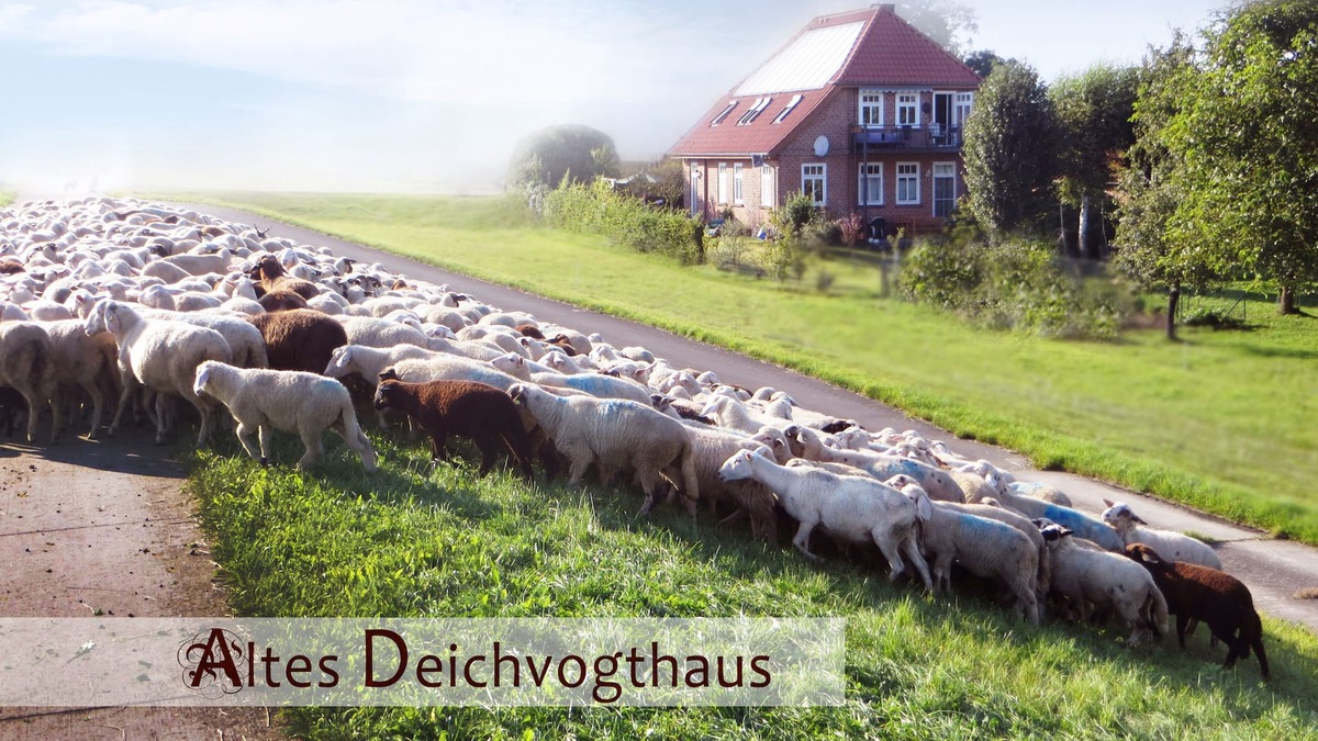 Neu Bleckede House | Very nice, restored timbered house with private garden and wooden sauna
