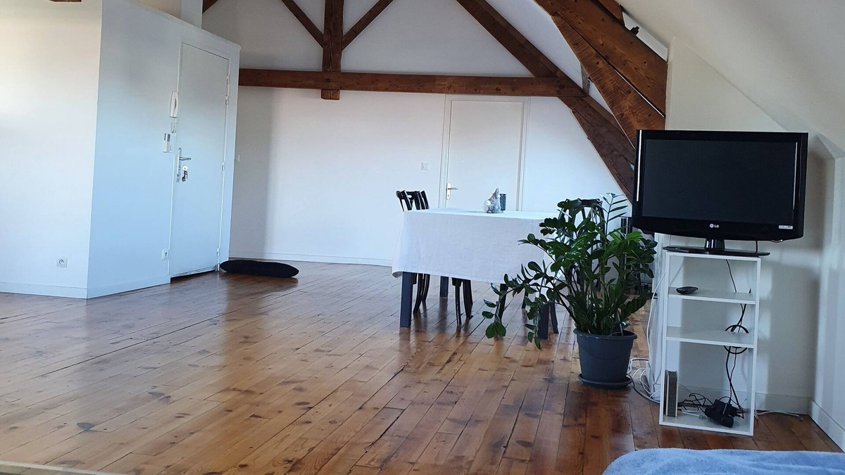 Brive-la-Gaillarde Apartment | Very spacious apartment