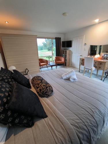 Hanmer Springs Bed & Breakfast | Vibrant Living Retreat