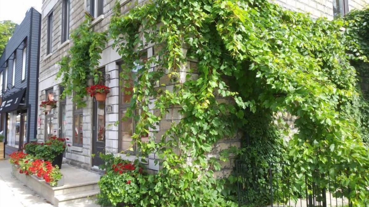 Farnham Apartment | Vieux-Old Farnham Appart Condotel1