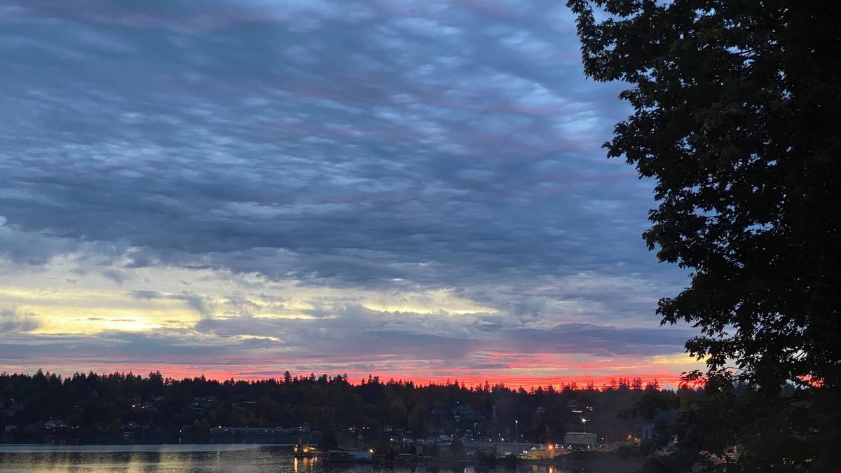 Northwest Olympia Cottage | View of Mt. Rainier - stunning sunrises and moonrises on Puget Sound