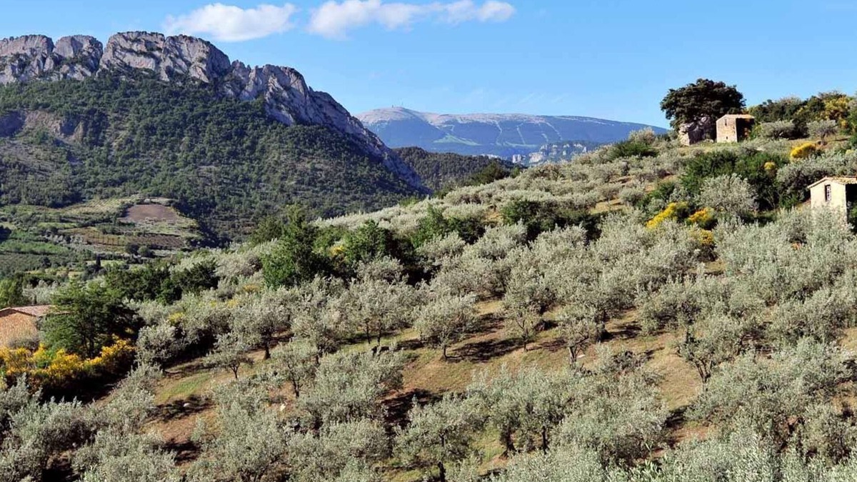 La Roche-sur-le-Buis Cottage | view of the nible mountain