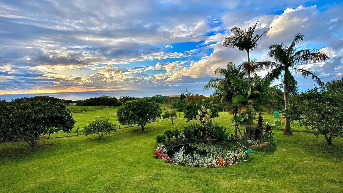 Hawi Cottage | View, Value, Comfort, Clean, Gracious Host Available To Assist You In Planning