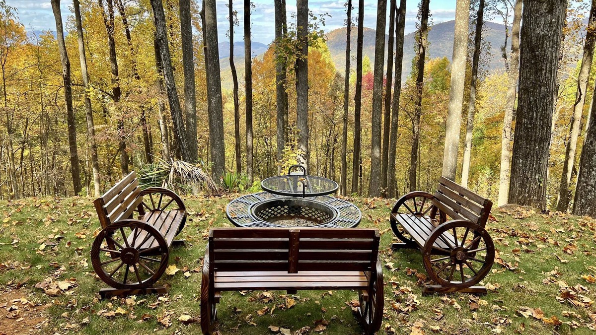 Ellijay Cabin | Views - Updated Cabin on Walnut Mountain- Pet Friendly