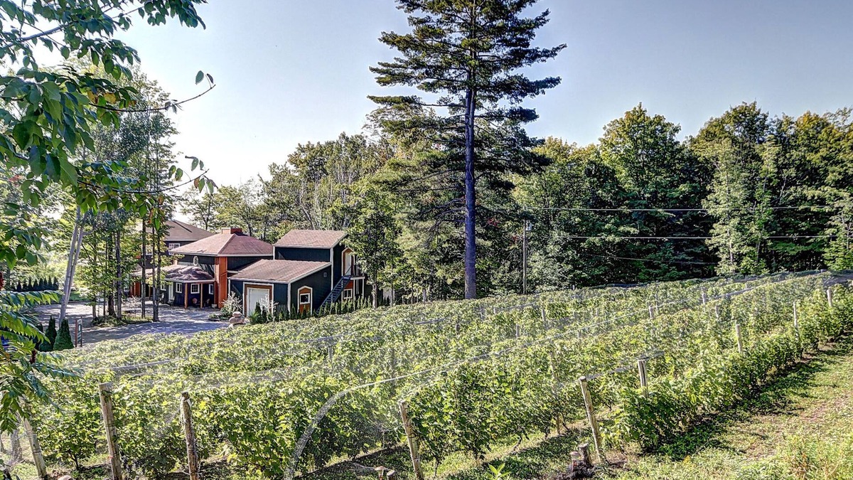 Neuville House | Vignoble du Domaine des 3 Moulins à 20 Min. de Qc