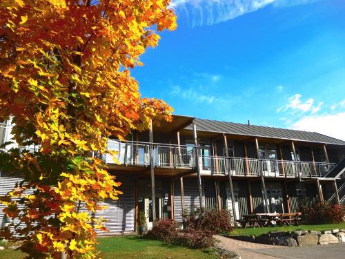 Hamar Municipality Hostel | Vikingskipet Hotell