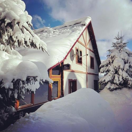 Rausor House | Vila Artemis