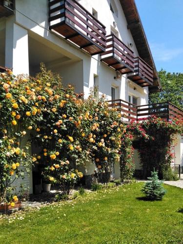 Breaza de Jos Bed & Breakfast | Vila Carpatina