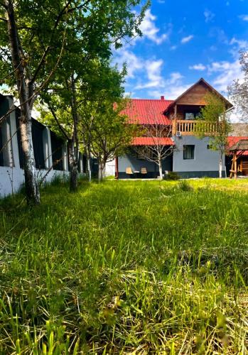 Viseu de Jos House | Vila din Grădină