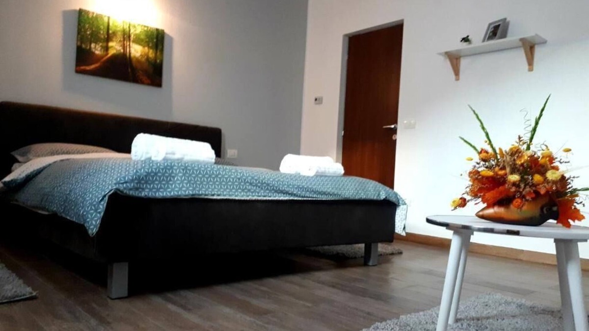 Alba Iulia Villa | VILA FRANCISCA10 ALBA IULIA