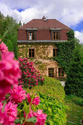 Janov nad Nisou Ski Chalet | Vila Hraničná