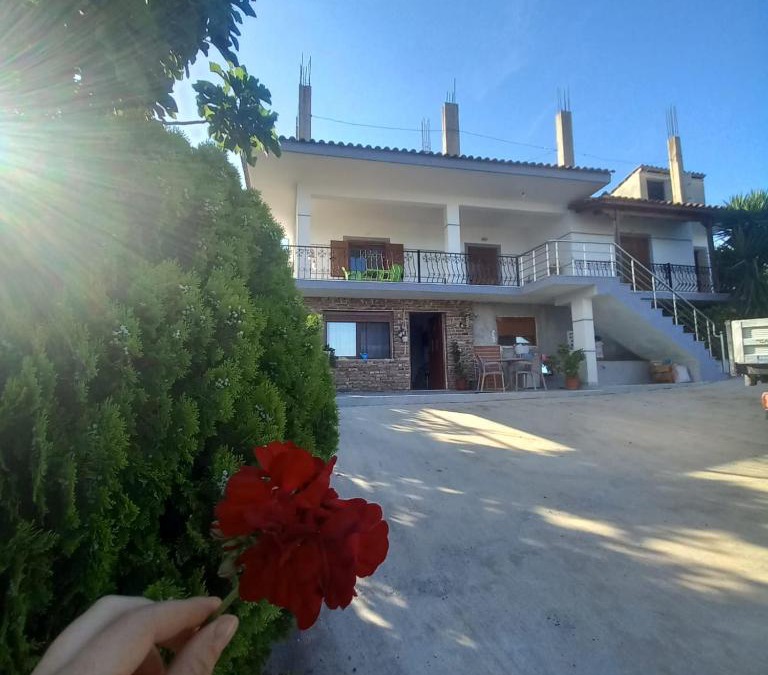 Aliko House | VILA PASHA