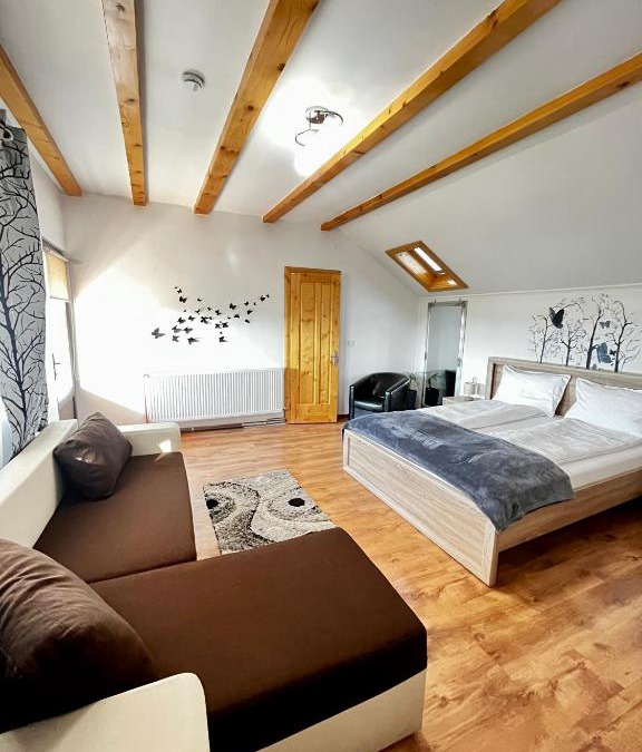 Hateg Villa | Vila SOFIA