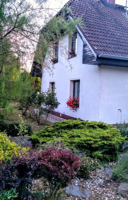Jirkov House | Vila v Podkrušnohoří